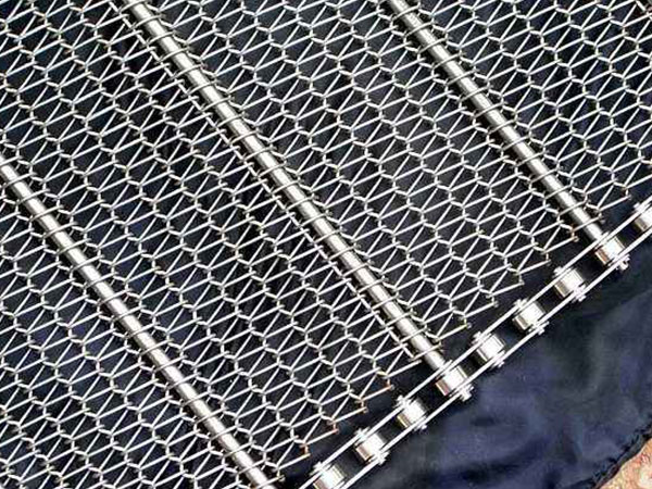 不锈钢输送带图片2