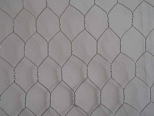 不锈钢六角网图片2