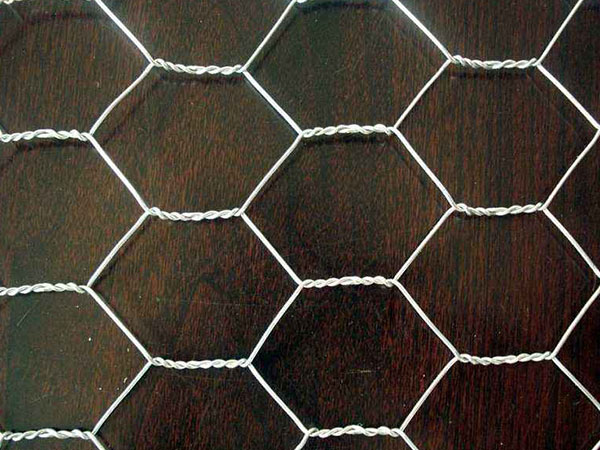 不锈钢六角网图片3