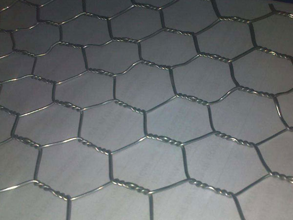 不锈钢六角网图片4